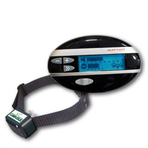 Nematoma tvora su 1 antkakliu