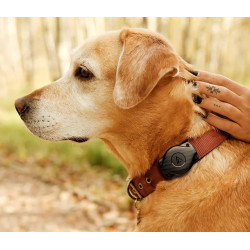 „Apple AirTag“ vandeniui atsparus dėklas, laikiklis