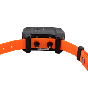 Canicom 5 papildomas antkaklis