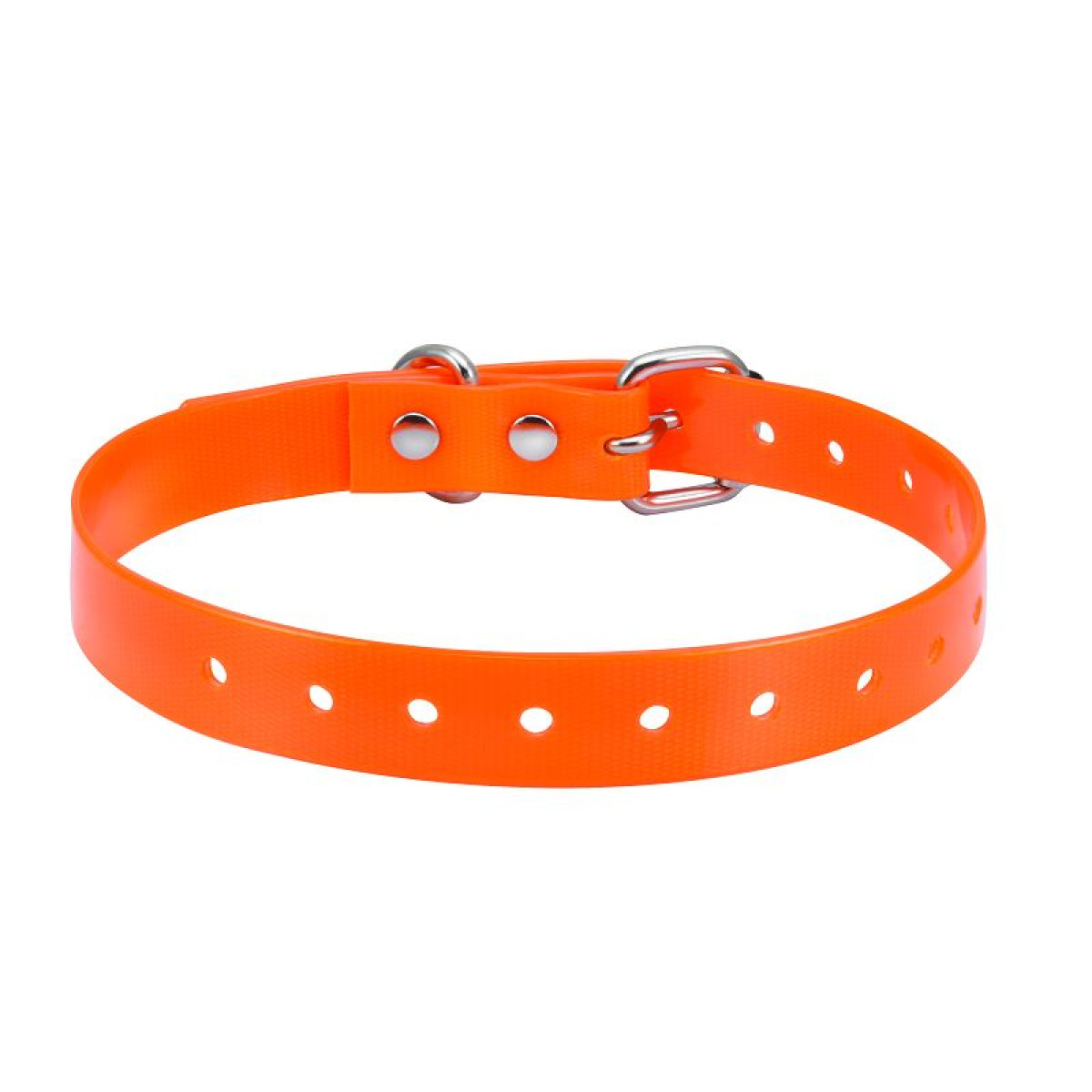 Oranžinis antkaklio dirželis atsparus vandeniui 18mm.