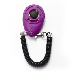 Klikeris dresūrai violetinis