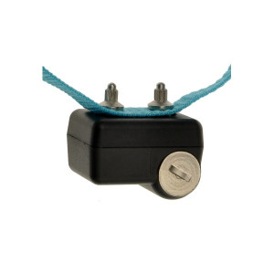 Elektrinis antkaklis skirtas lojimui kontroliuoti „Canicalm First”