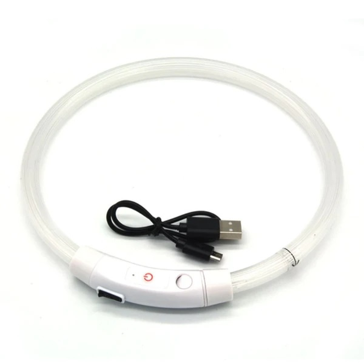 Baltai šviečiantis antkaklis šuniui